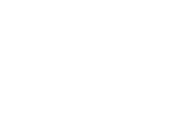 LOGO DS BRANCA